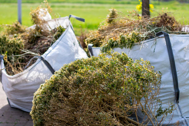 Best Household Junk Removal  in Saltville, VA